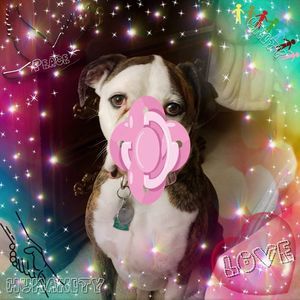 Meet your Posher, Carmeilla